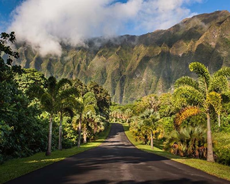 Self-Guided Slingshot Tour of Oahu's East Coast from Waikiki