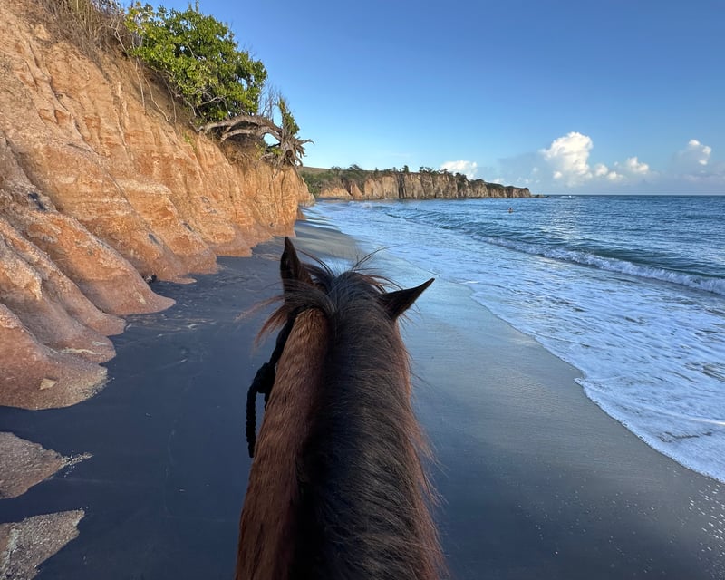 Private Black Sand Beach Horseback Ride in Vieques