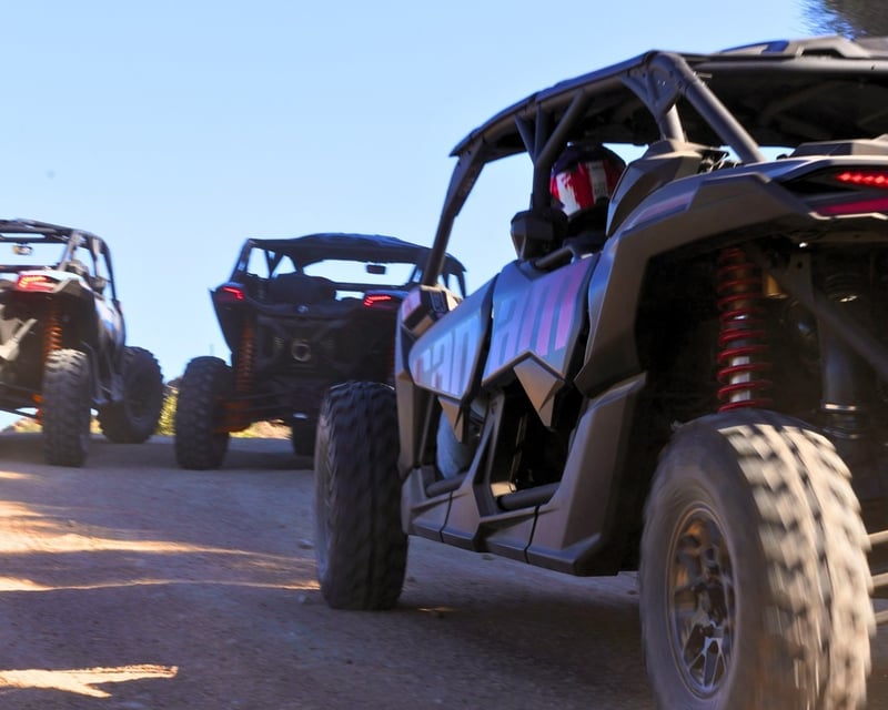 2-Hour UTV Rental in Apache Junction