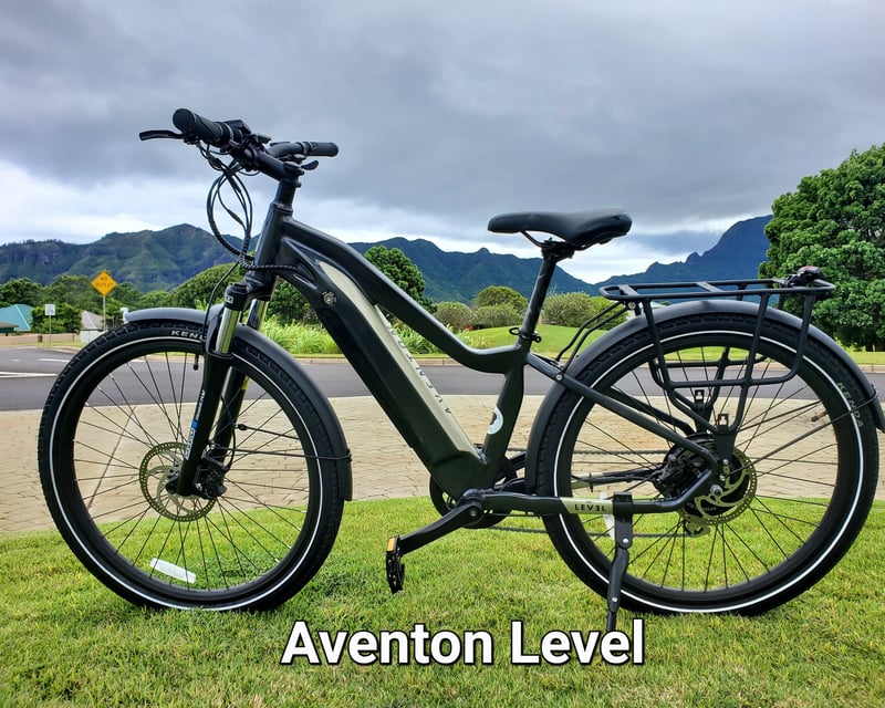 2-Hour E-Bike Rental in Koloa