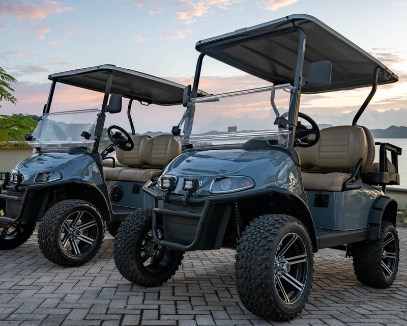 Electric Golf Cart Rental in Playa Flamingo