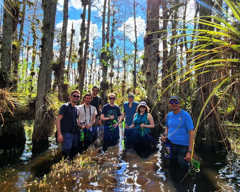 Guided Everglades Swamp Walk Tour