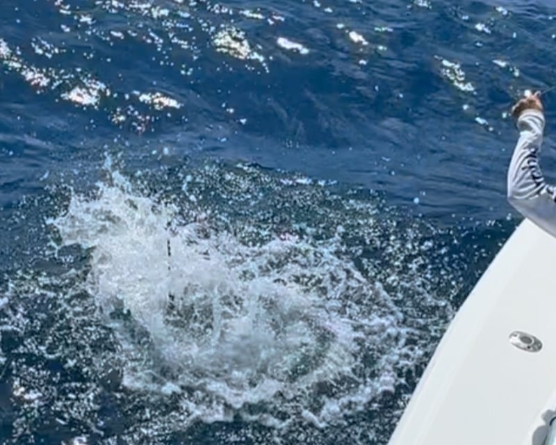 4-Hour Private Boat Charter in Miami