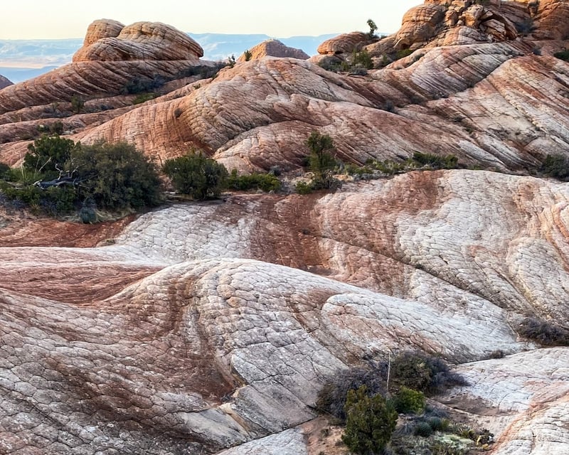 Private Candy Cliffs Guided Hike in Zion National Park