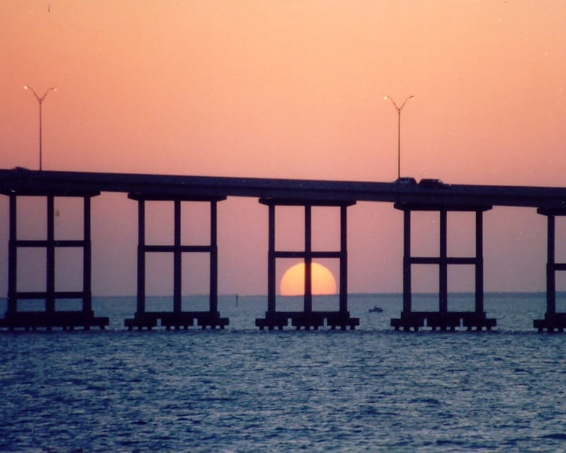 Sunset Dolphin Cruise on Laguna Madre Bay