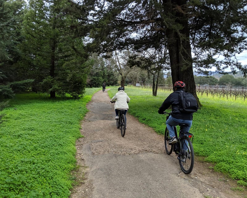 Sonoma Wine Country Bike Tour with Winery Tastings