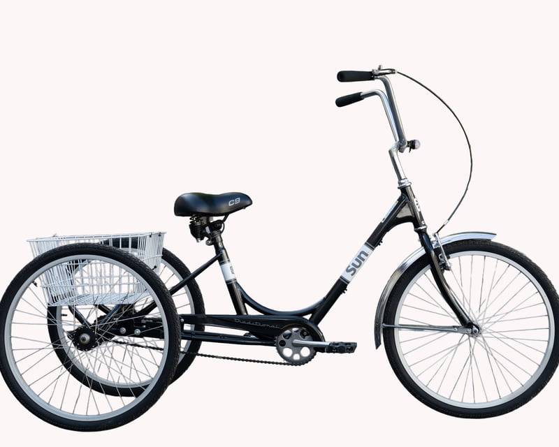 Key West Adult Tricycle Rental