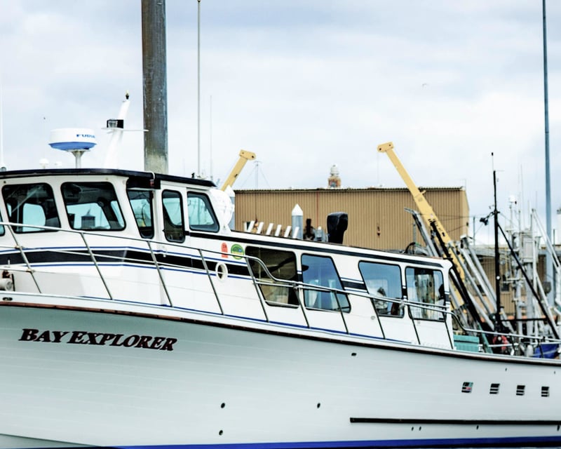 Homer Halibut Fishing Charter