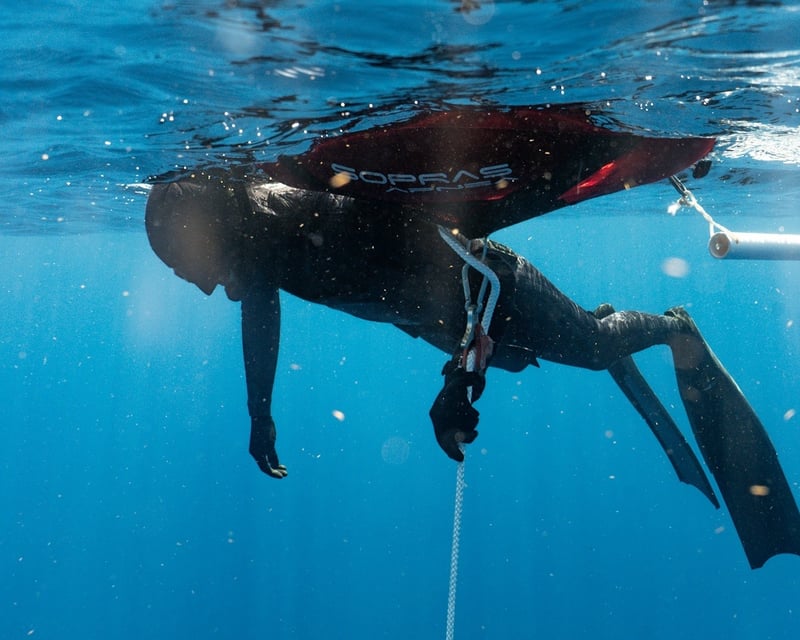Freediving Boat Trip with Line & Reef Drift Dives