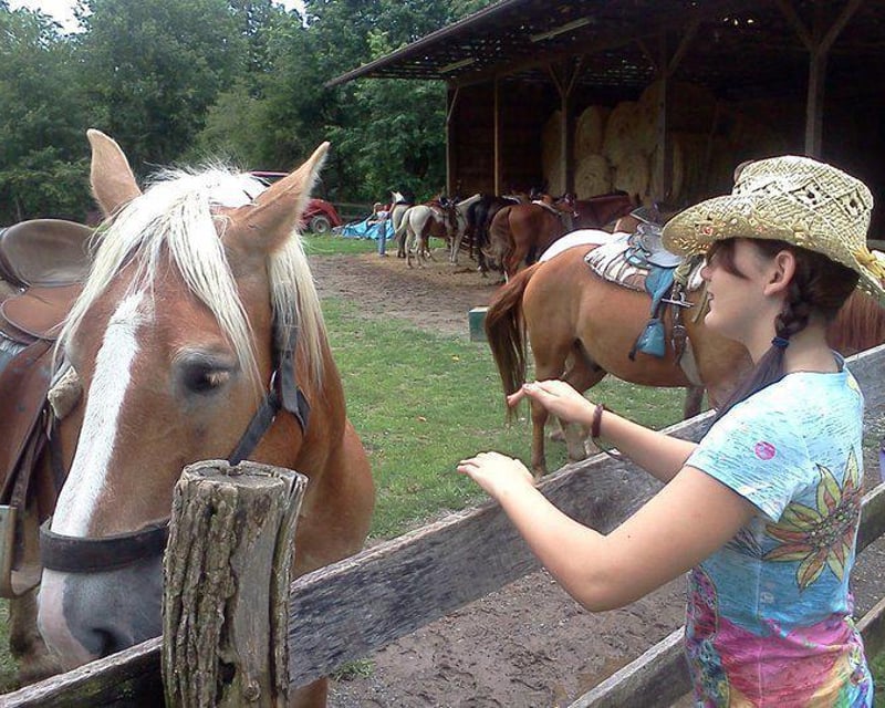 Guided Horseback Ride on Flame Azalea Trail