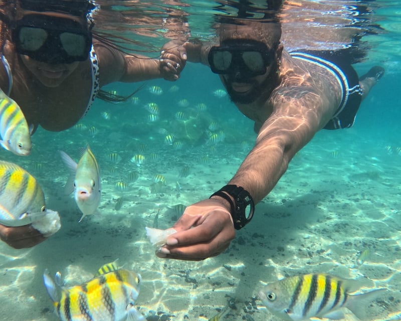 Northeast Puerto Rico 4-Beach Guided Tour