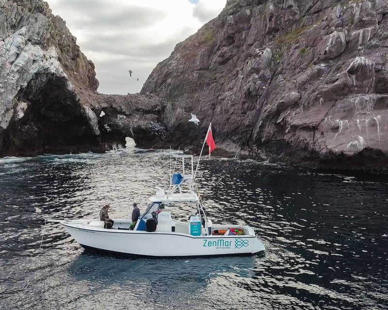 Take a Full-Day Spearfishing Course From San Diego
