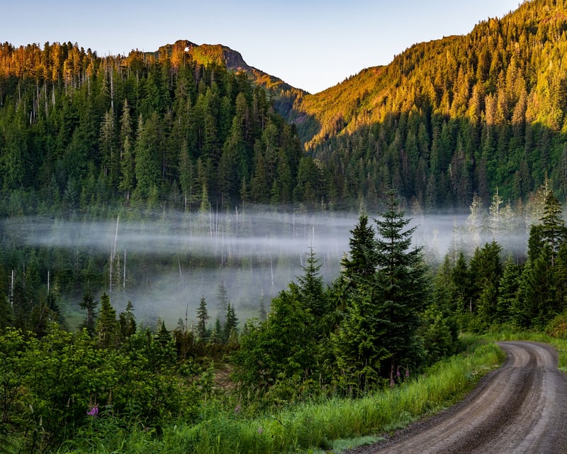 Ketchikan Backcountry SUV Tour