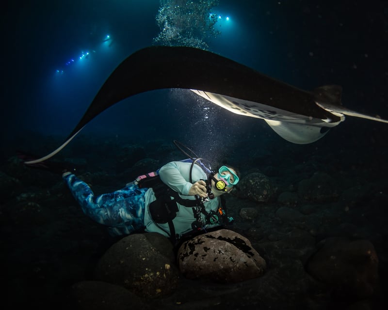 Dive Kona Reef & Manta Ray Night Dive Charter