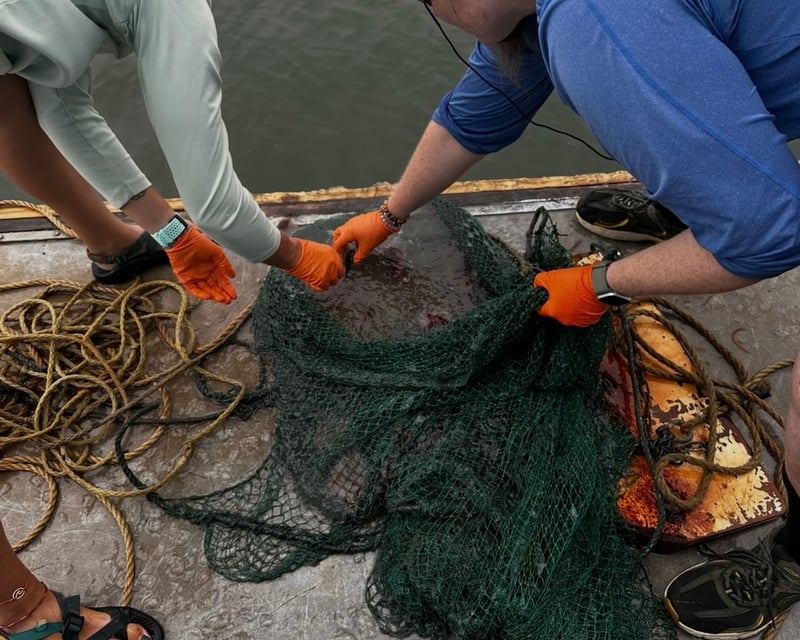 Marine Biology Cruise in Lewes