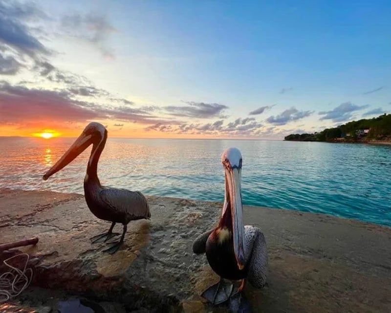Sunset Boat Tour on a Traditional Yola in Aguadilla