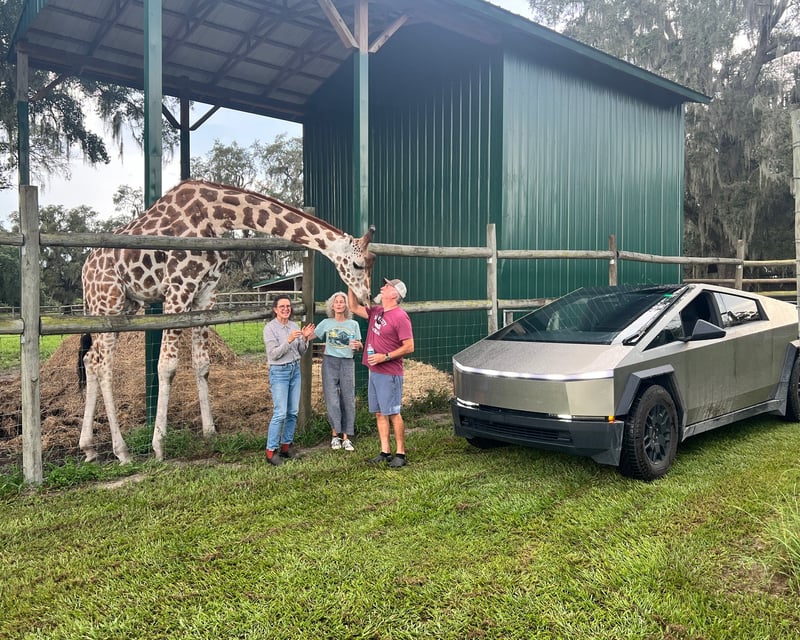 Cybertruck Safari & Animal Feeding at Giraffe Ranch