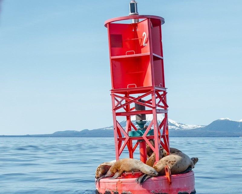 Private Whale Watching & Wildlife Boat Tour in Sitka