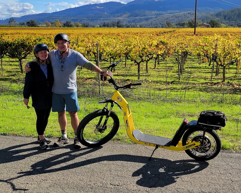 Napa 3-Winery Wine Tasting Tour