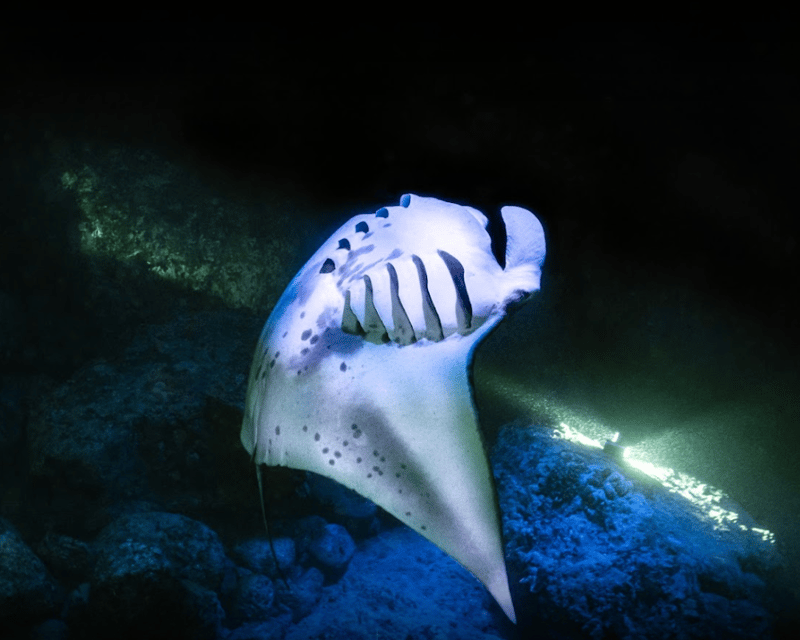 Addon image