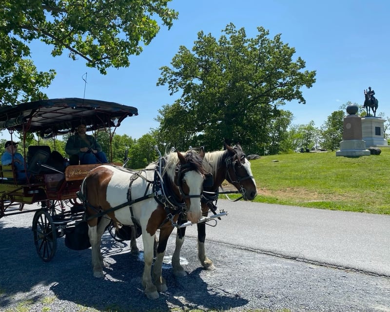 Gettysburg Culp’s Hill 2-Hour Carriage Tour