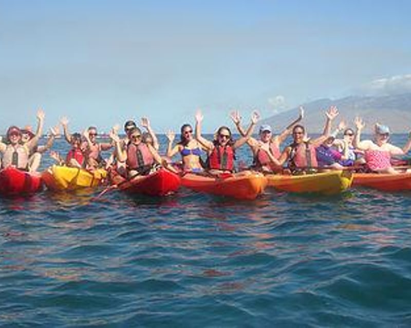 Guided Kayak Turtle Tour in Wailea