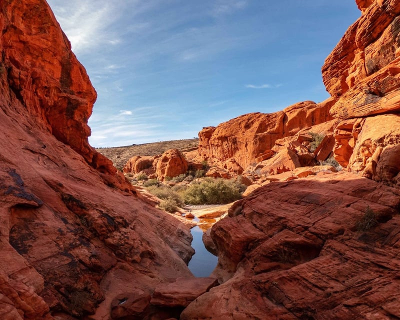 Red Rock Canyon Scenic Loop Tour From Las Vegas