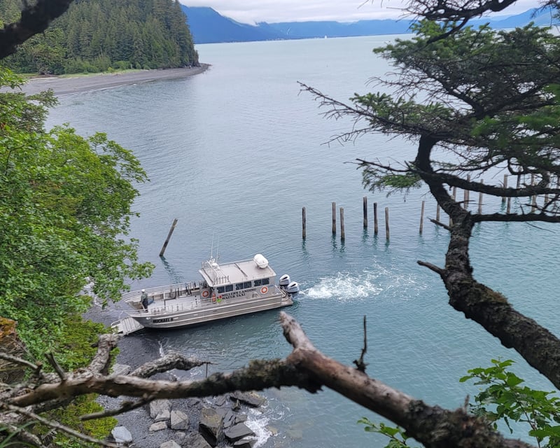 Caines Head 4-Mile Guided Kayak & Hike Tour