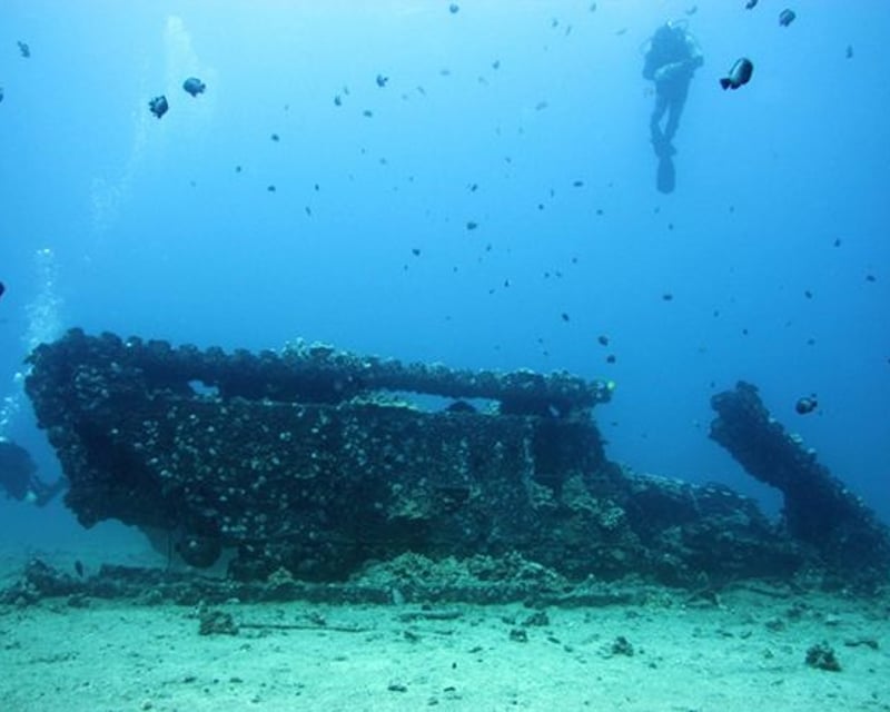 Kihei 2-Tank Drift Dive Charter