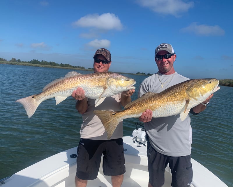 Fish an Inshore Charter in Venice, Louisiana