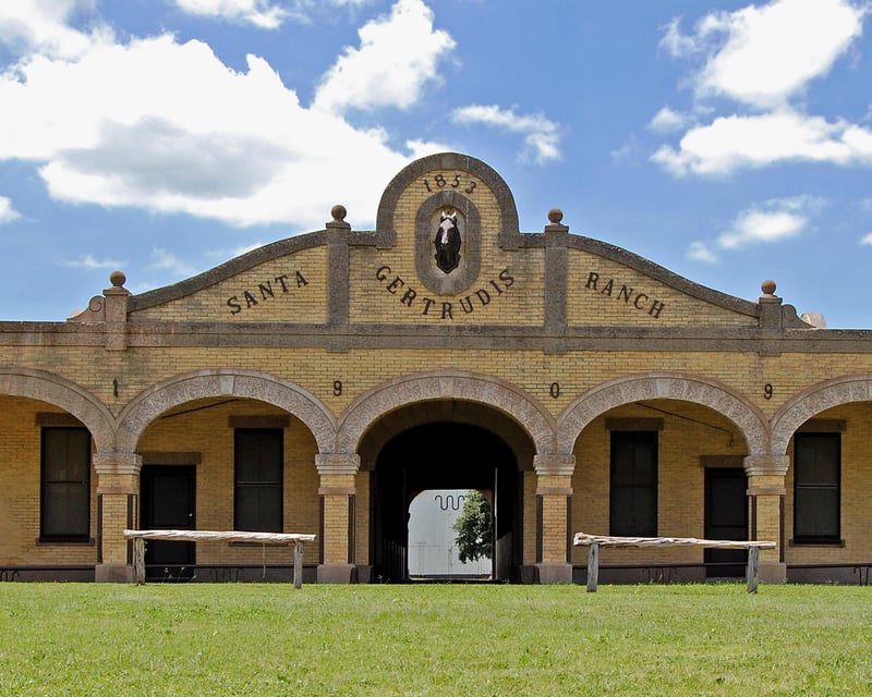 Explore King Ranch On a 1.5-Hour Guided Tour in Kingsville