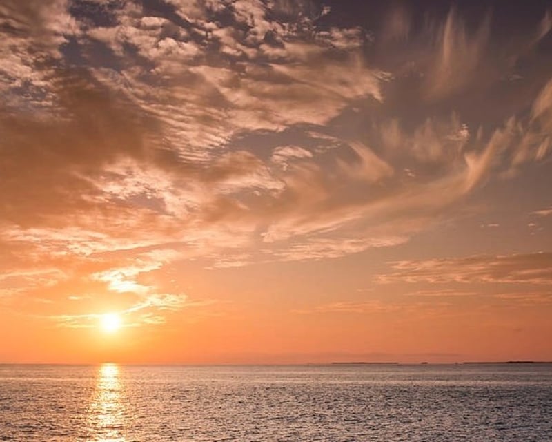 San Diego Sunset Cruise