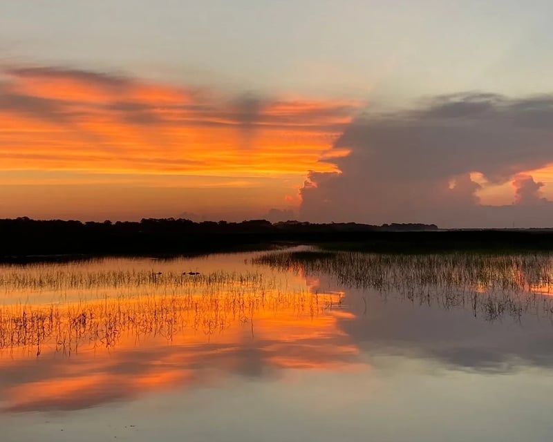 Sunrise Airboat Tour in Sanford