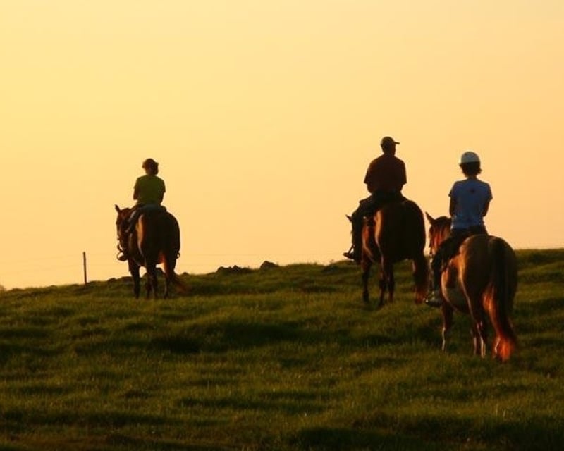 Private Sunset Horseback Ride in Kohala, Big Island