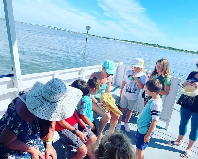 Cruise St. Augustine on a 1.5-Hour Wildlife Watch