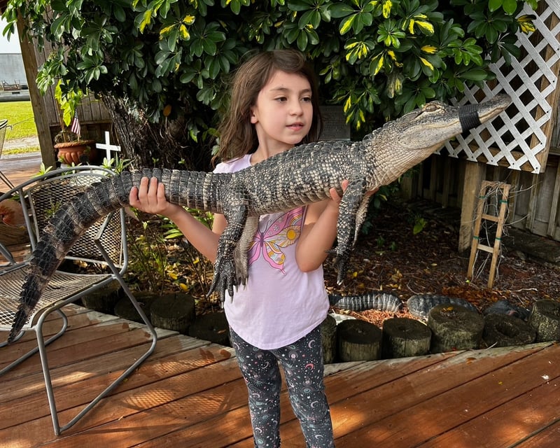 Everglades Airboat & Reptile Tour From Fort Myers