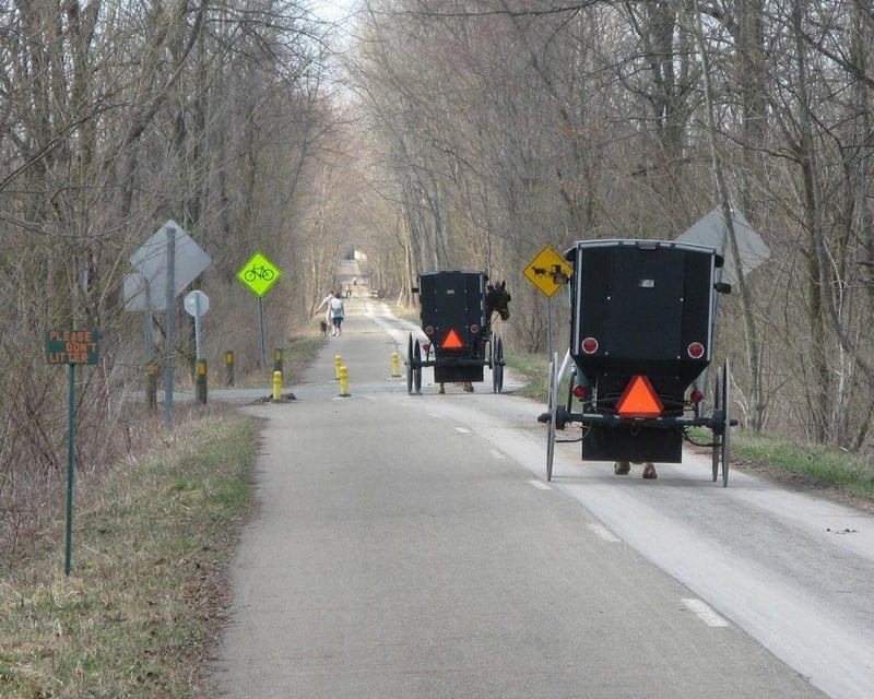 Guided Amish Backroads Tour of Holmes County
