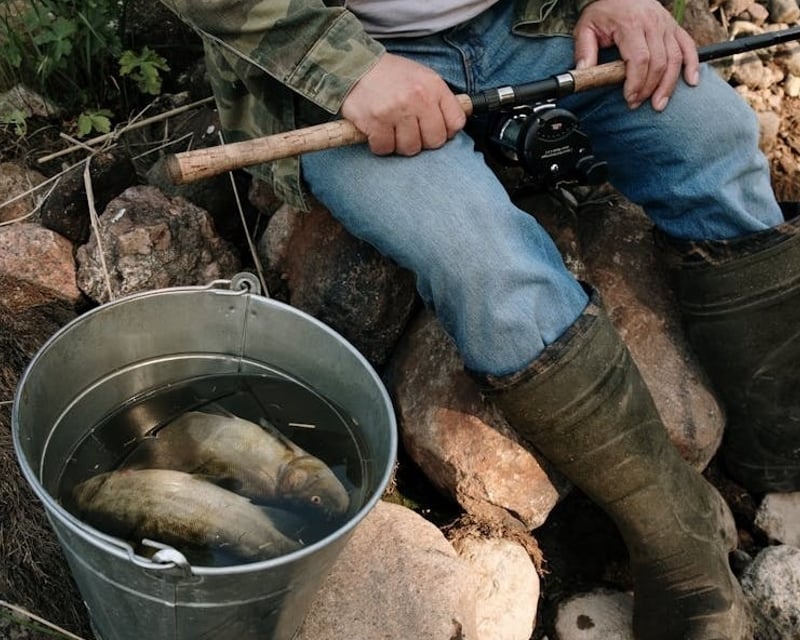 3-Hour Fishing & Sightseeing Charter in 10,000 Islands