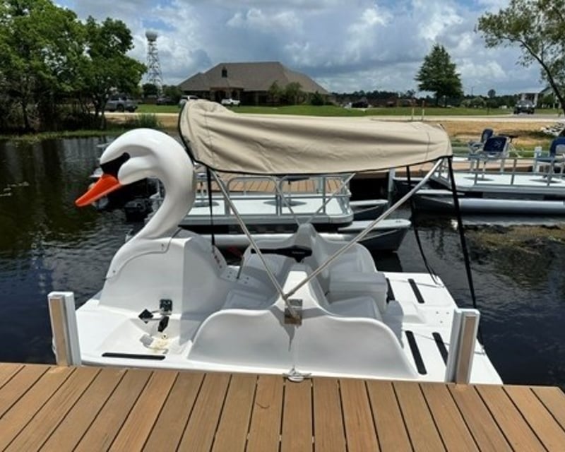 Electric Swan Boat Rental on Lake Latigo, West Monroe
