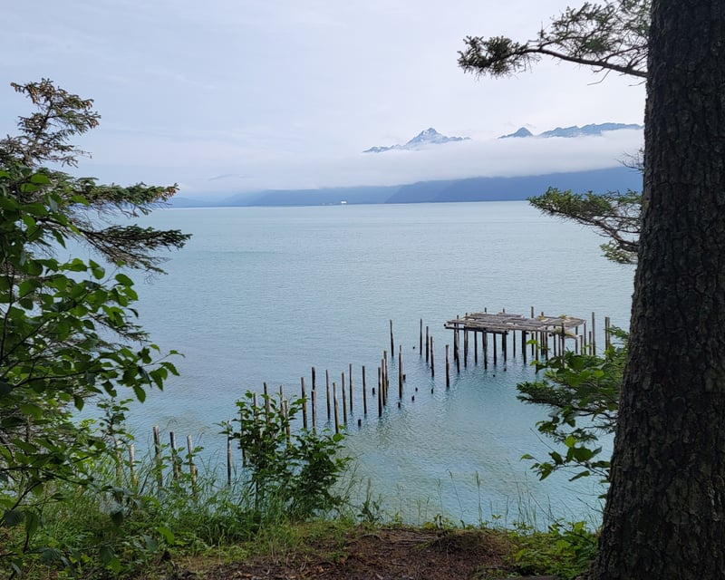 Full-Day Guided Kayak & Hike at Caines Head