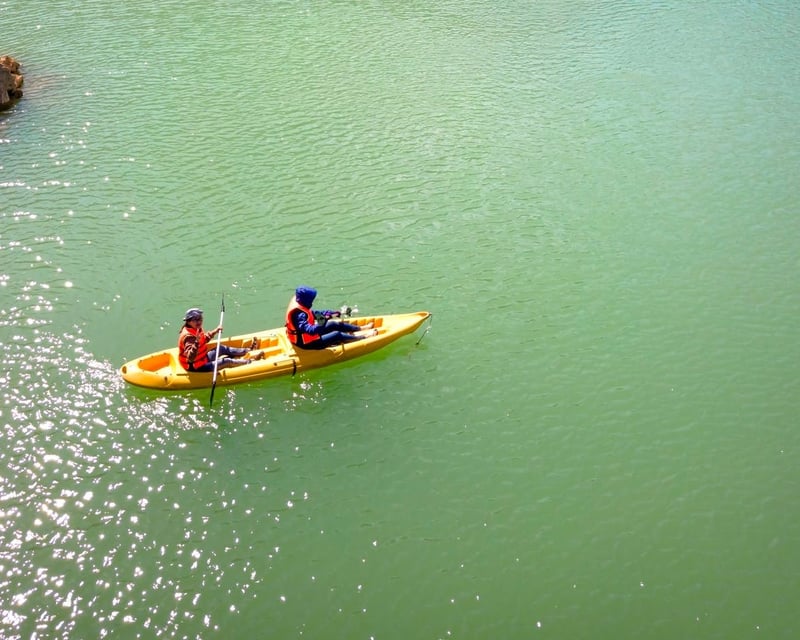 9-Hour Kayak Rental in Pinckney
