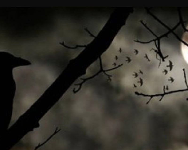 Galveston Ghost Tour