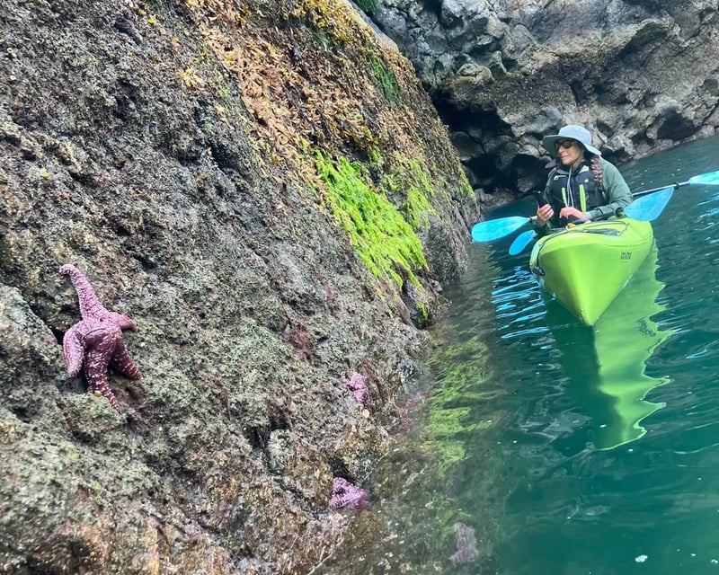 4-Hour Guided Humpy Cove Kayak Tour