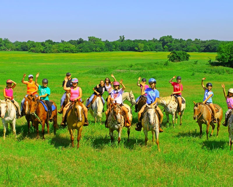 Horseback Trail Ride Through Woods & Creeks in Edmond, OK