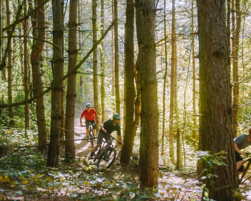 Full-Day Mountain Bike Rental in Woodstock, VT