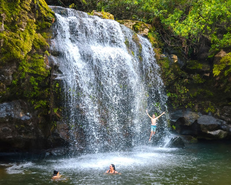 North Kohala Waterfalls Guided Tour