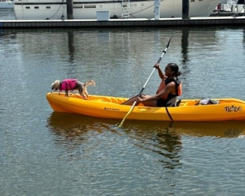 Single Kayak Rental At Columbia Island Marina
