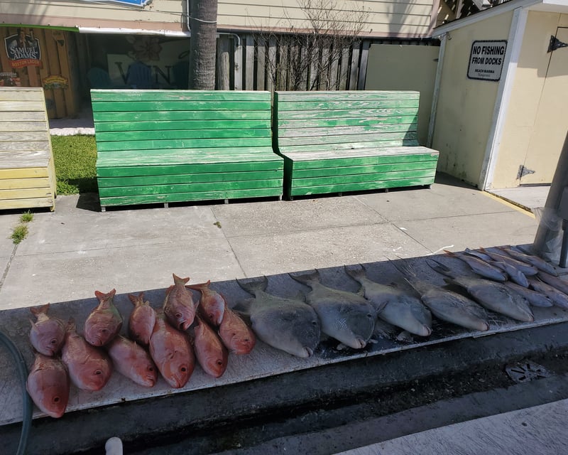 Morning Inshore Fishing Charter in Gulf Breeze