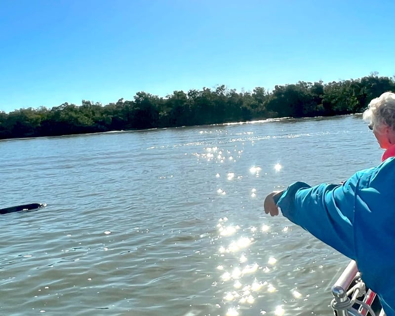 2-Hour Dolphin Boat Tour in the 10,000 Islands
