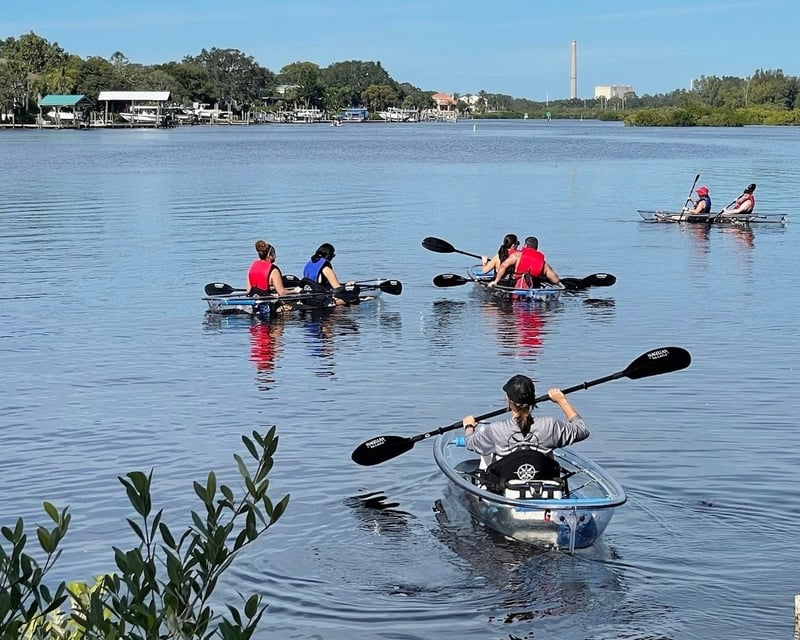 Tarpon Springs Manatee Season Clear Kayak Tour